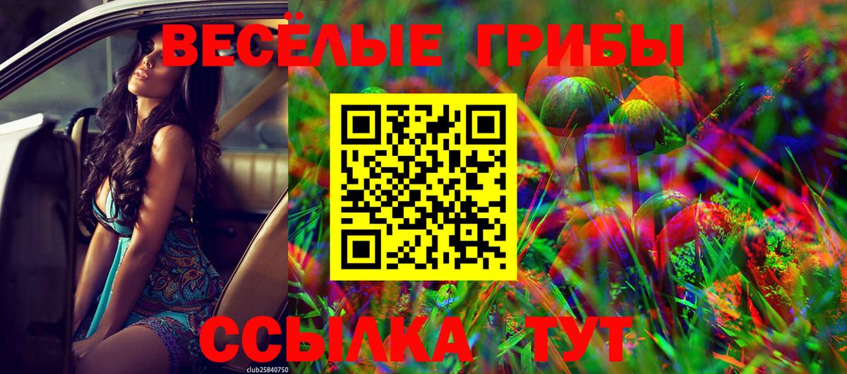 Галлюциногенные грибы MAGIC MUSHROOMS  Галлюциногенные грибы мухоморы  как найти наркотики  Гай  Вход с VPN 